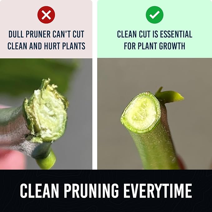 PrunePro™ – Precision Cutting for Perfect Gardens